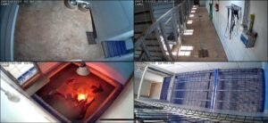 Gypsy Line Rottweiler – rottweilerspain-05