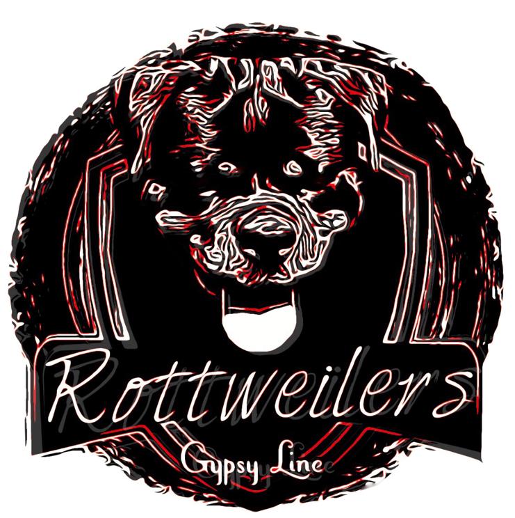 Rottweilers Gypsy Line Rottweilers