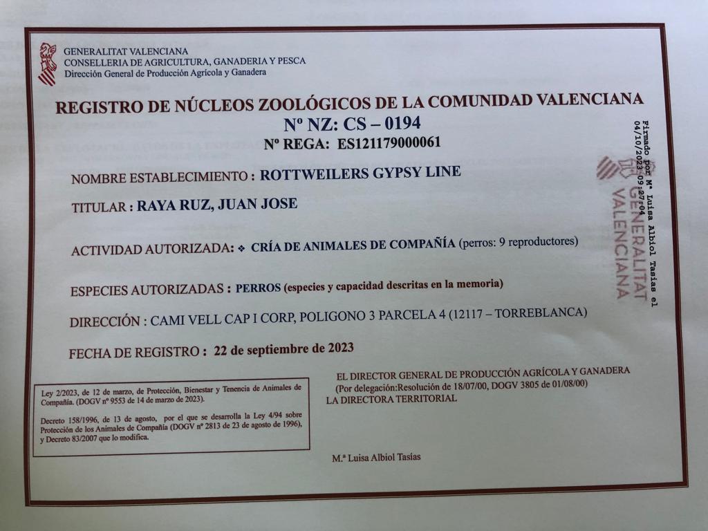 Gypsy Line Rottweilers